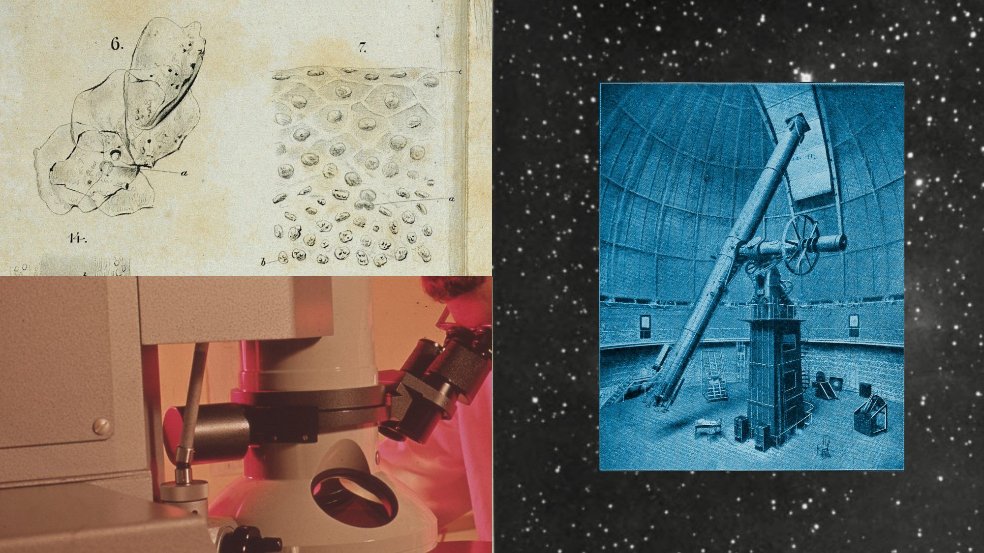 Abstract graphic representing Anthropic's AI for Science program expansion to research institutions