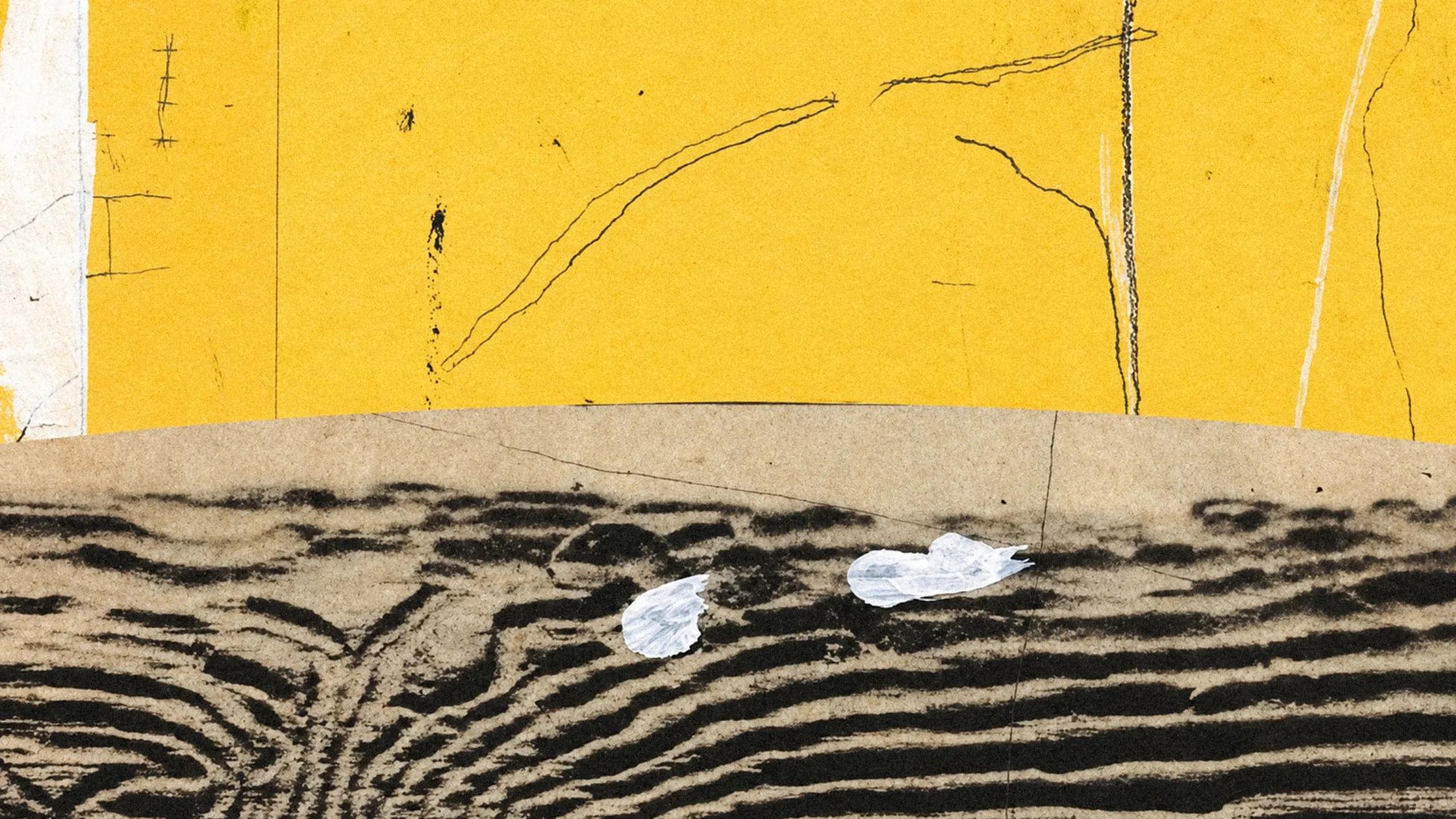 Abstract yellow and charcoal textured collage artwork from Anthropic's Claude Opus 5.5 launch page